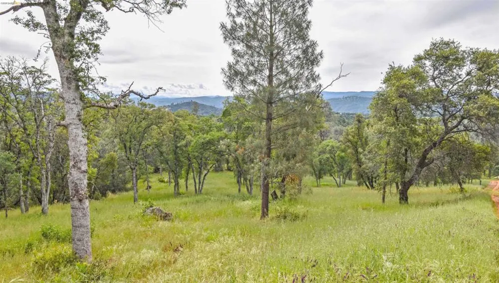17270 Robin Ridge Sonora, CA 95370
