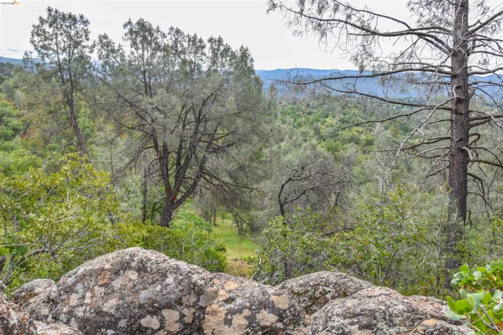 17270 Robin Ridge Sonora, CA 95370