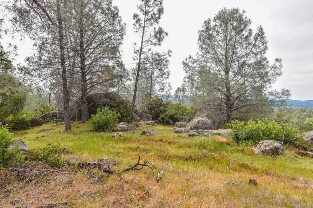 17270 Robin Ridge Sonora, CA 95370