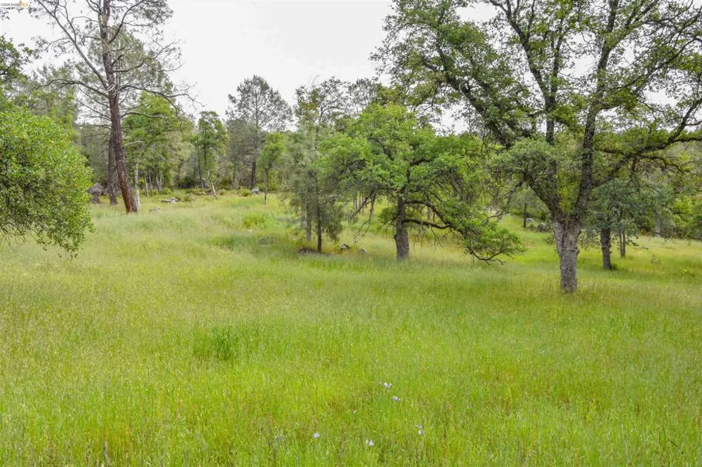 17270 Robin Ridge Sonora, CA 95370