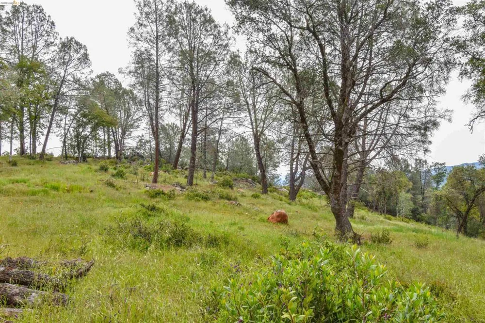 17270 Robin Ridge Sonora, CA 95370