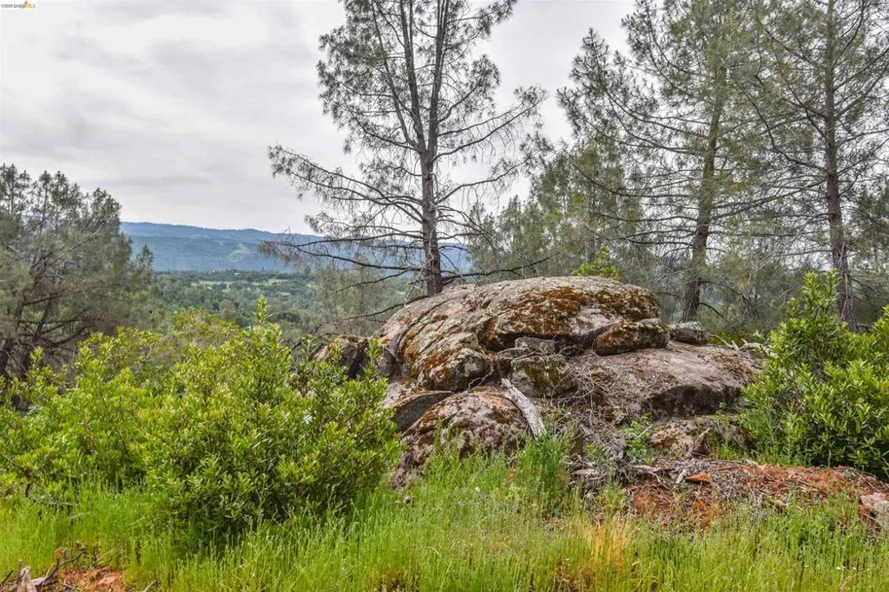 17270 Robin Ridge Sonora, CA 95370