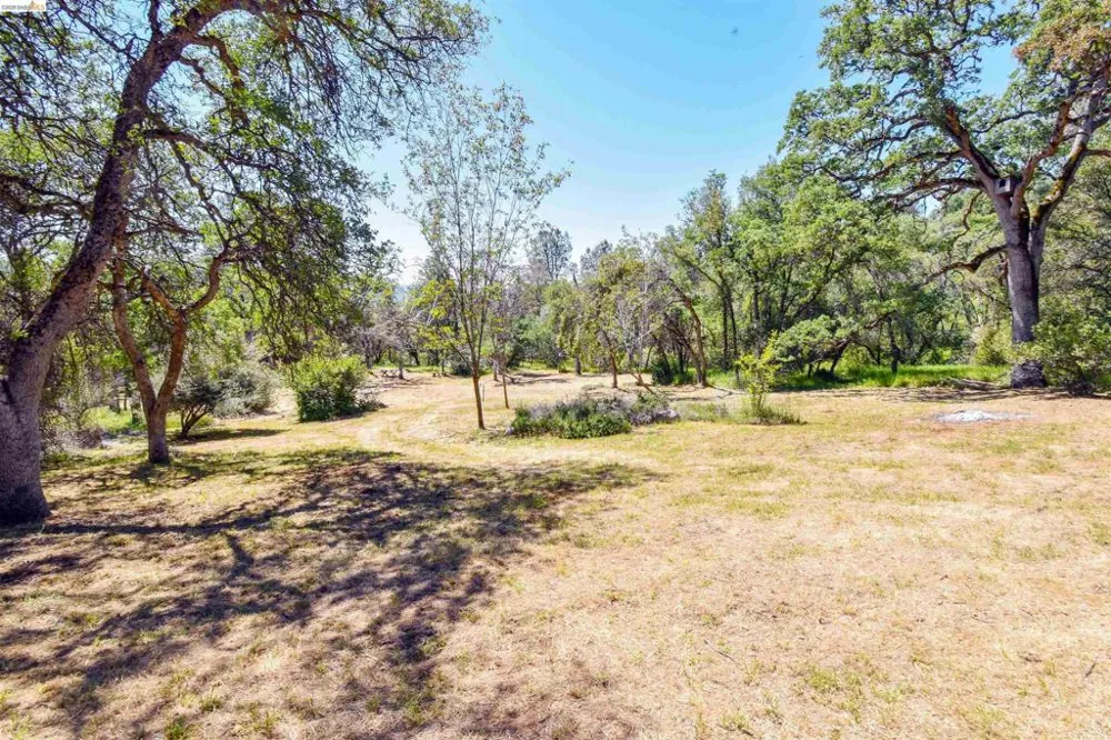 17270 Robin Ridge Sonora, CA 95370
