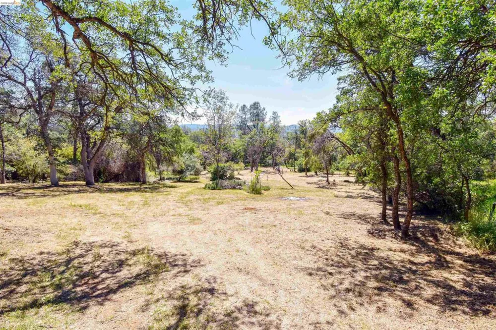 17270 Robin Ridge Sonora, CA 95370