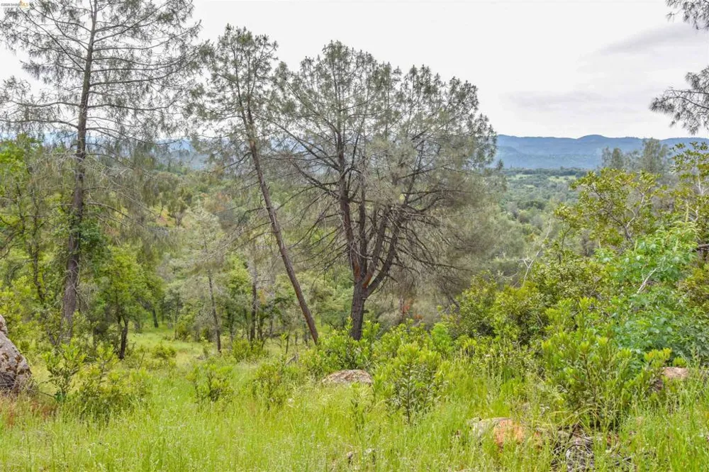 17270 Robin Ridge Sonora, CA 95370
