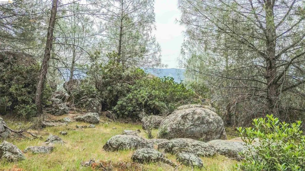 17270 Robin Ridge Sonora, CA 95370