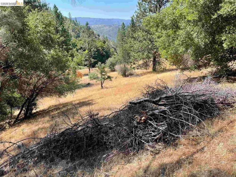 Forrest Rd 1N19 Tuolumne, CA 95379