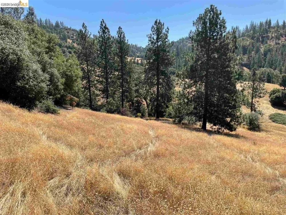 Forrest Rd 1N19 Tuolumne, CA 95379