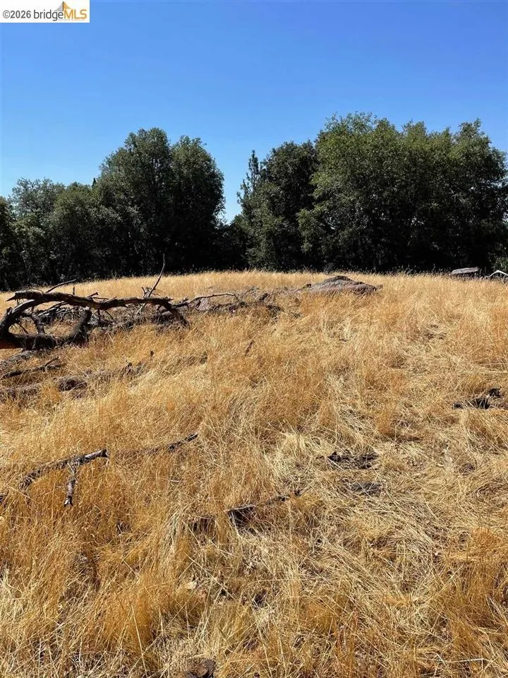 Forrest Rd 1N19 Tuolumne, CA 95379