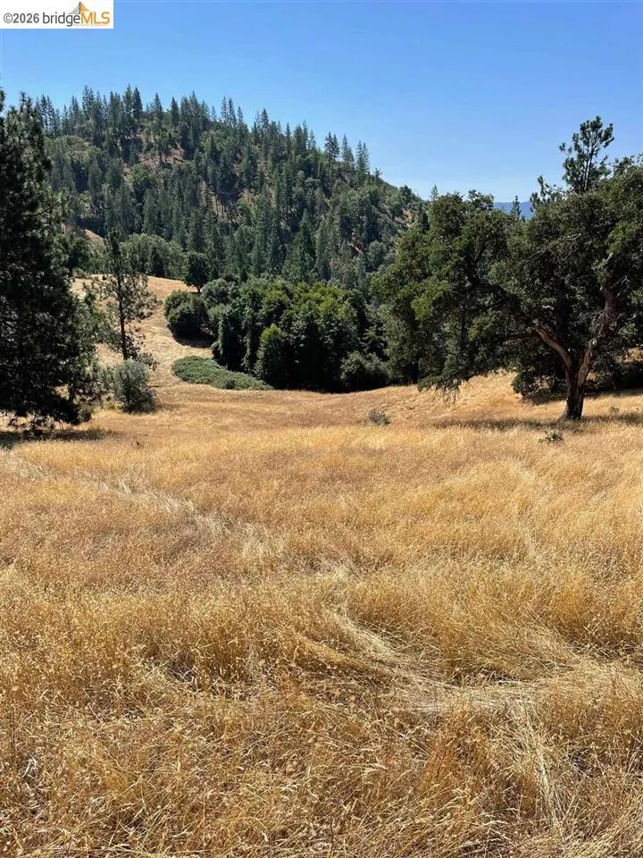 Forrest Rd 1N19 Tuolumne, CA 95379