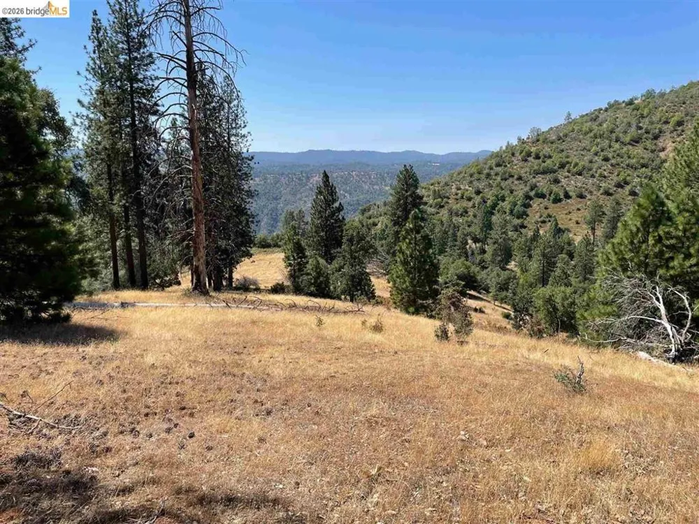 Forrest Rd 1N19 Tuolumne, CA 95379