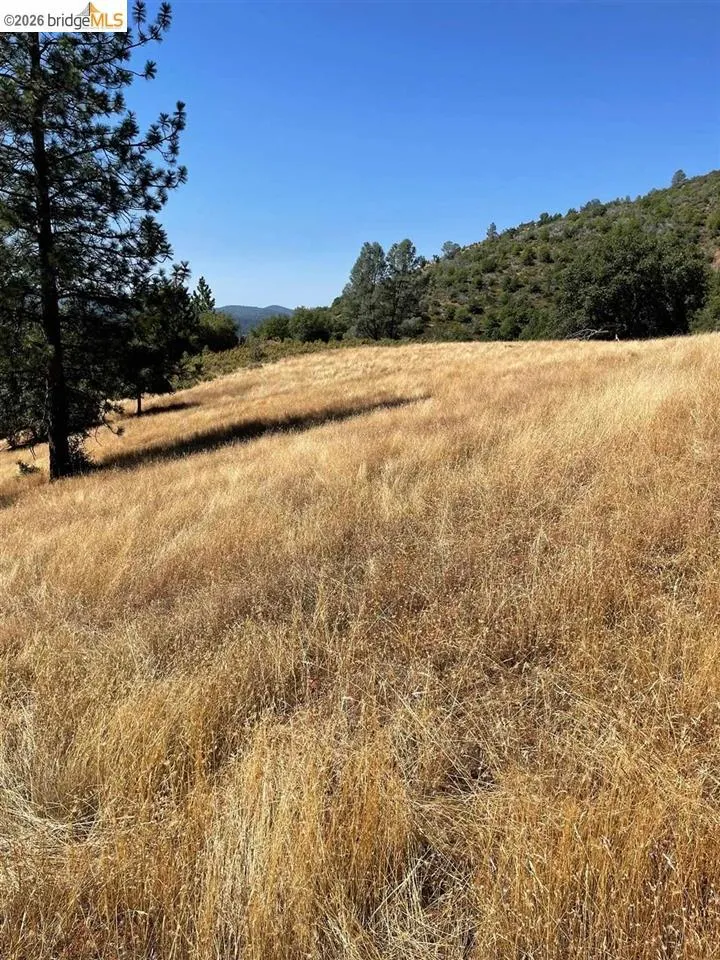 Forrest Rd 1N19 Tuolumne, CA 95379