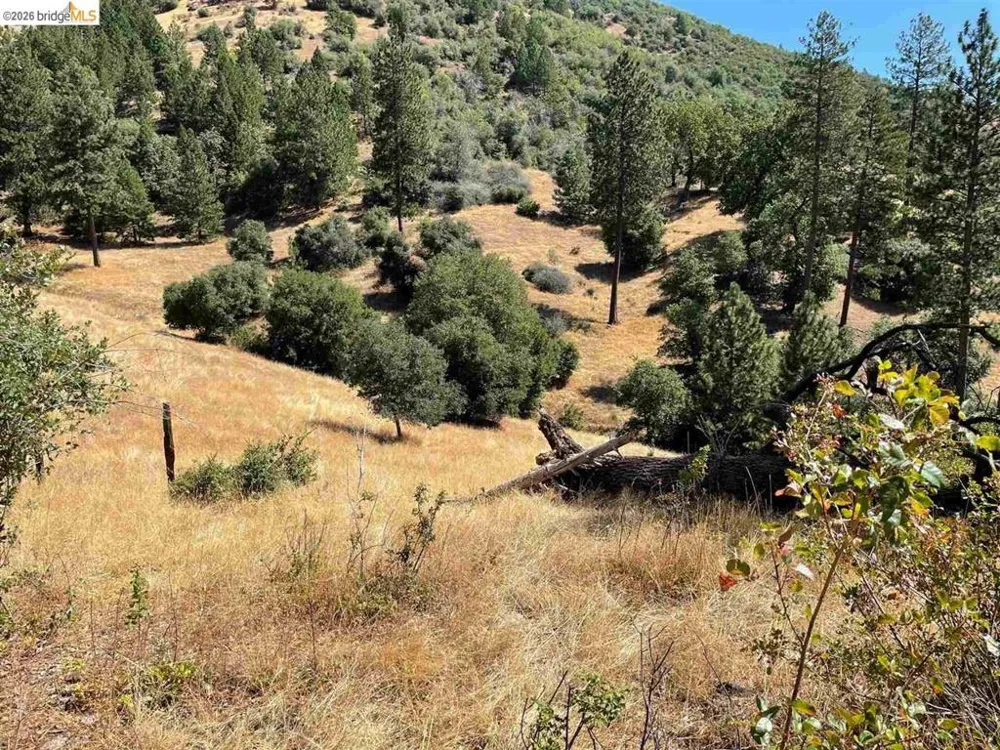 Forrest Rd 1N19 Tuolumne, CA 95379