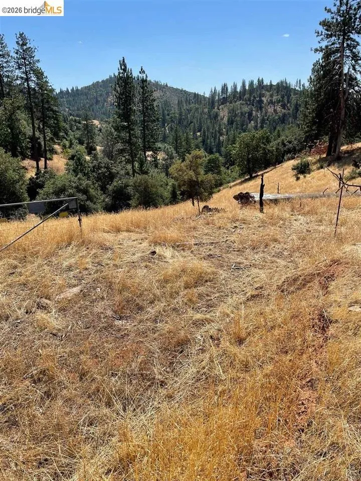 Forrest Rd 1N19 Tuolumne, CA 95379