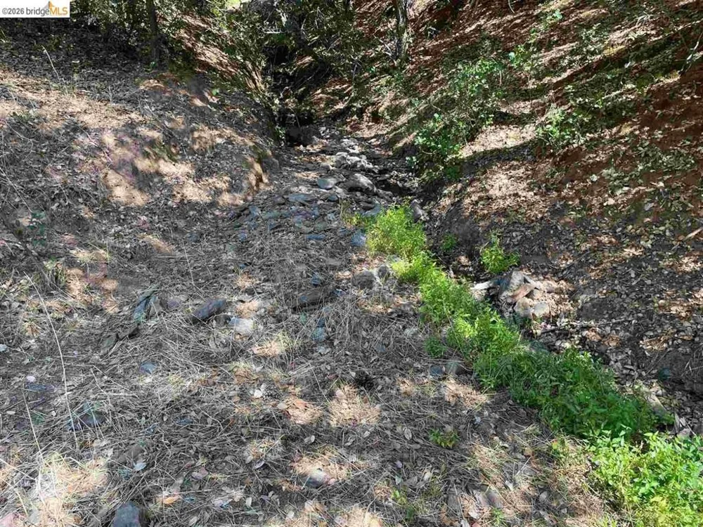 Forrest Rd 1N19 Tuolumne, CA 95379
