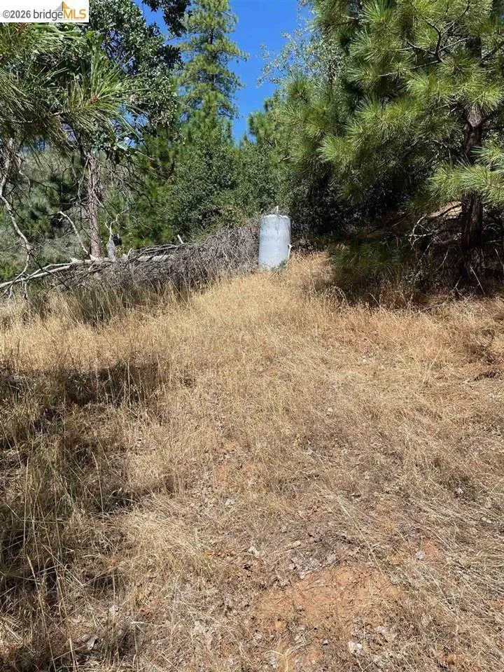 Forrest Rd 1N19 Tuolumne, CA 95379