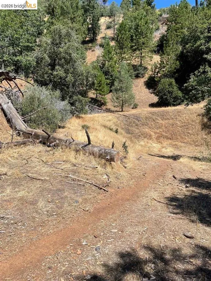 Forrest Rd 1N19 Tuolumne, CA 95379