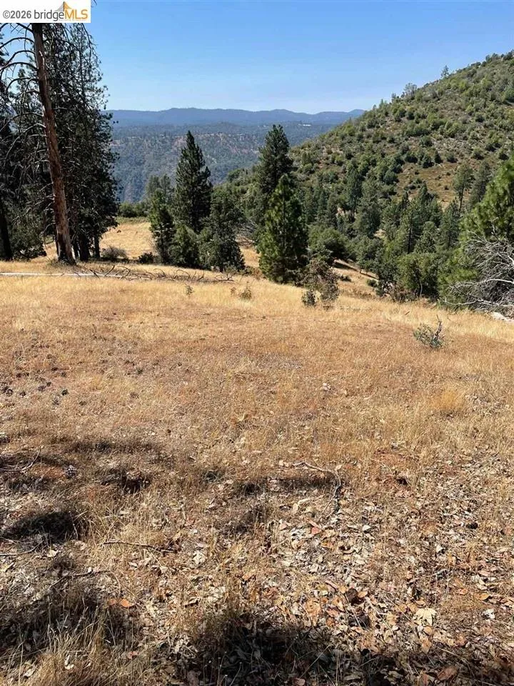 Forrest Rd 1N19 Tuolumne, CA 95379