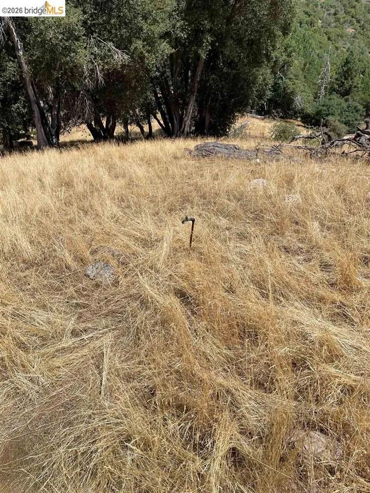 Forrest Rd 1N19 Tuolumne, CA 95379