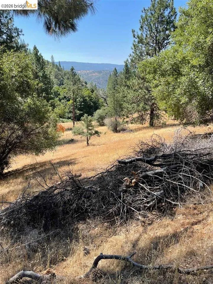 Forrest Rd 1N19 Tuolumne, CA 95379