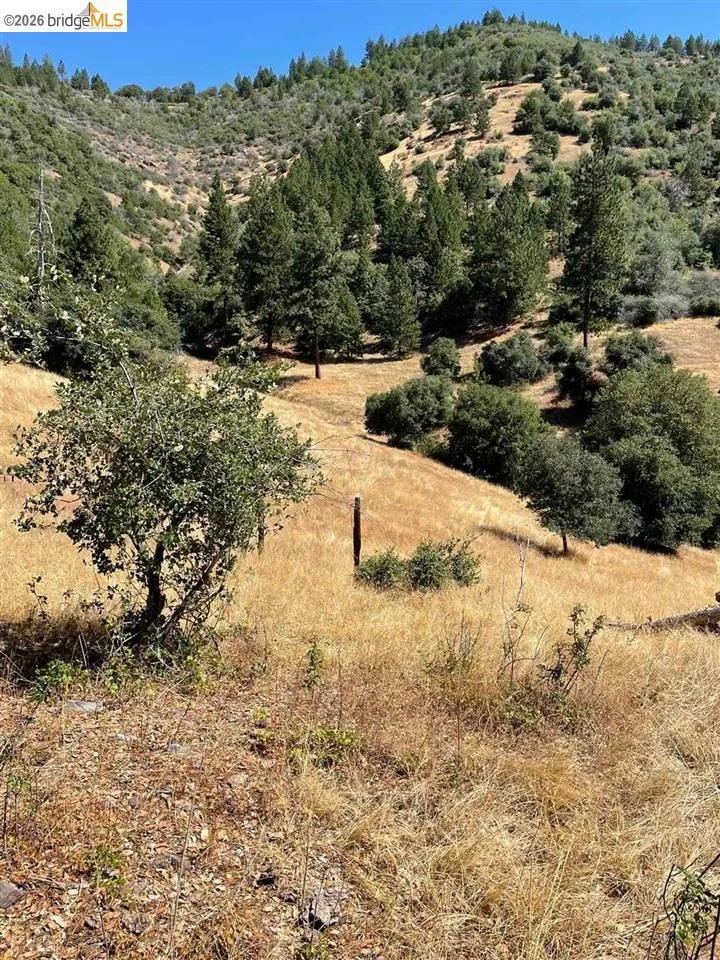 Forrest Rd 1N19 Tuolumne, CA 95379