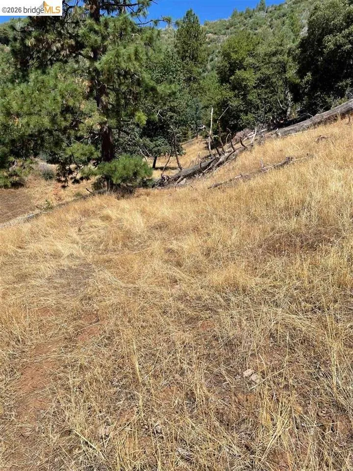 Forrest Rd 1N19 Tuolumne, CA 95379