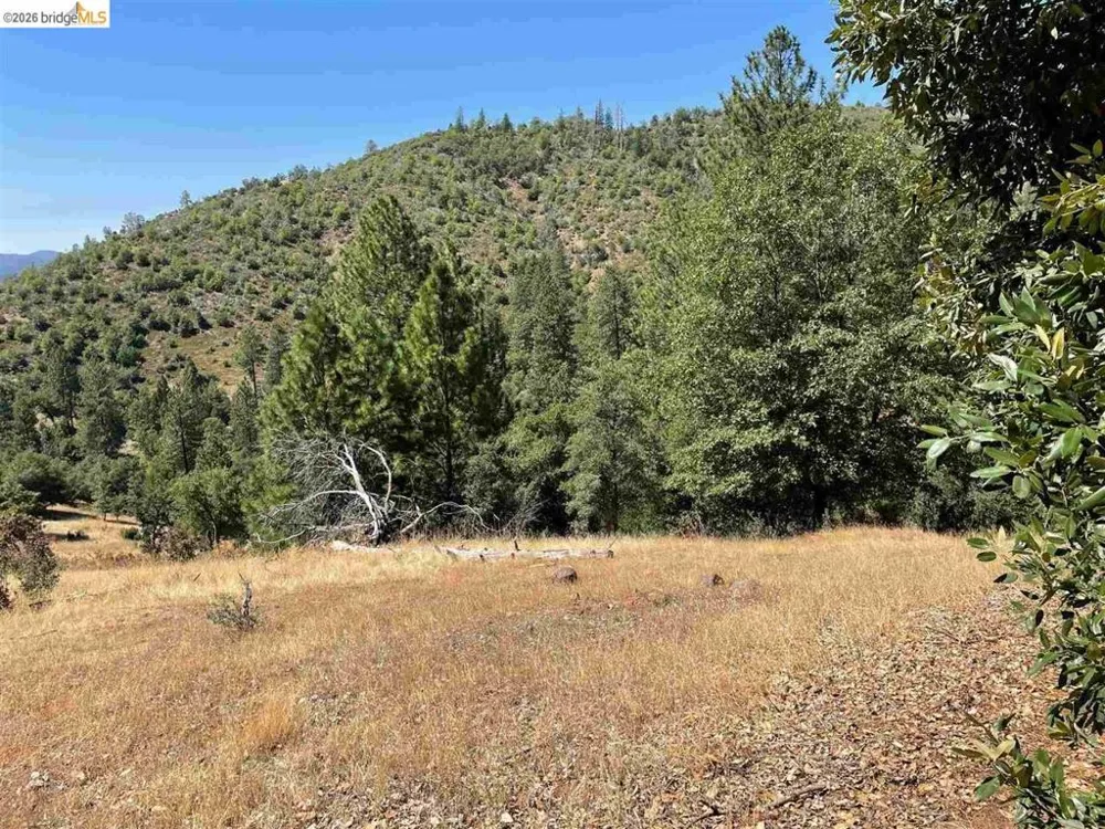 Forrest Rd 1N19 Tuolumne, CA 95379