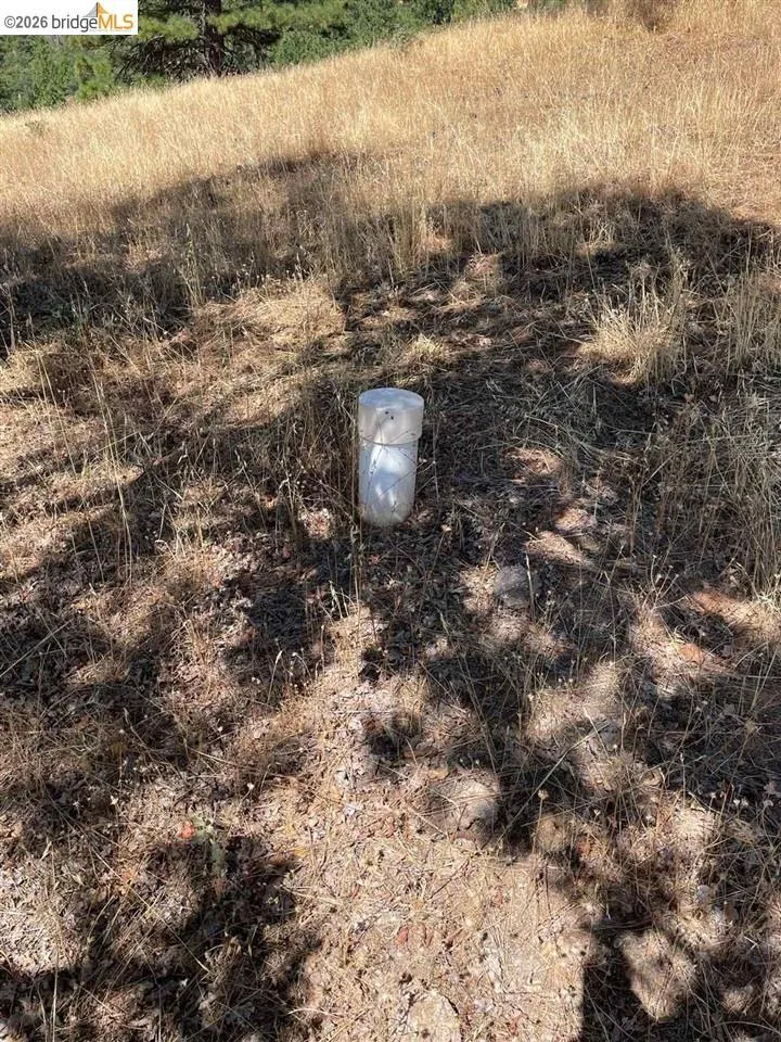 Forrest Rd 1N19 Tuolumne, CA 95379