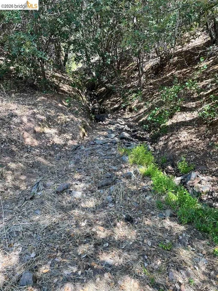 Forrest Rd 1N19 Tuolumne, CA 95379