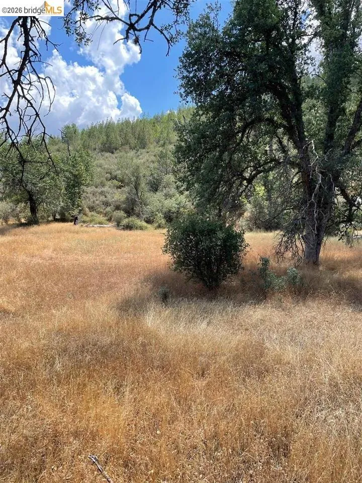 Forrest Rd 1N19 Tuolumne, CA 95379