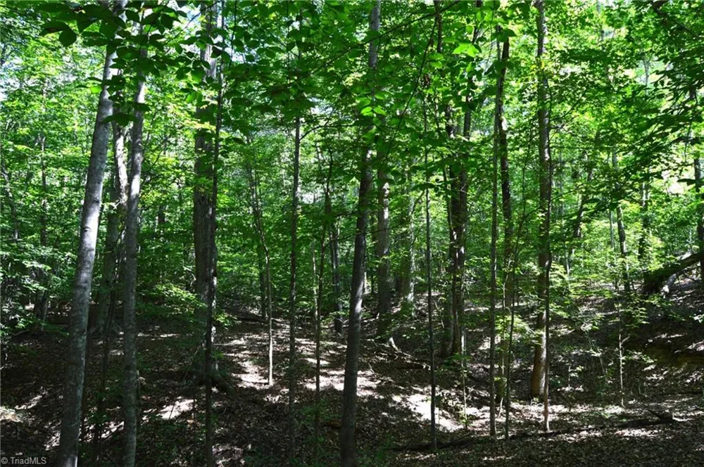 338-278 Hancock Road Reidsville, NC 27320