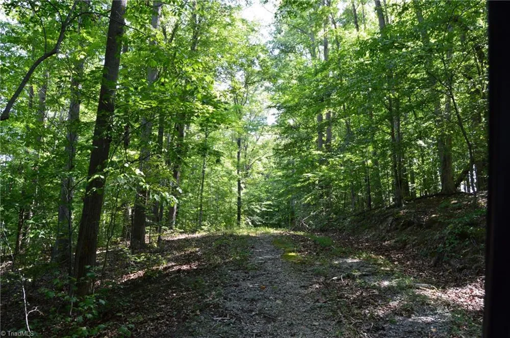 338-278 Hancock Road Reidsville, NC 27320