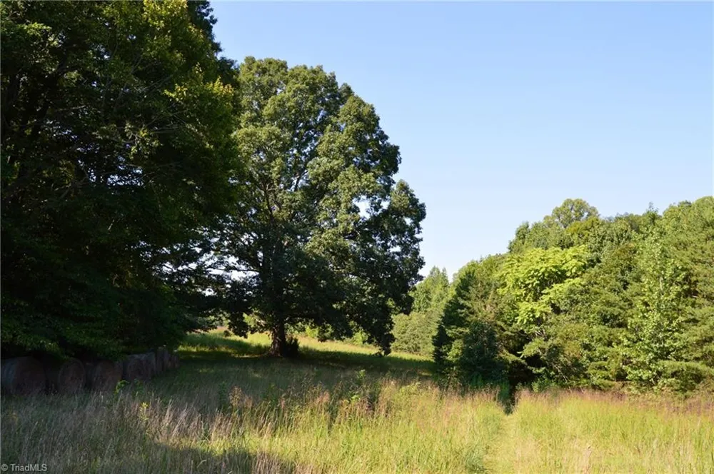 338-278 Hancock Road Reidsville, NC 27320