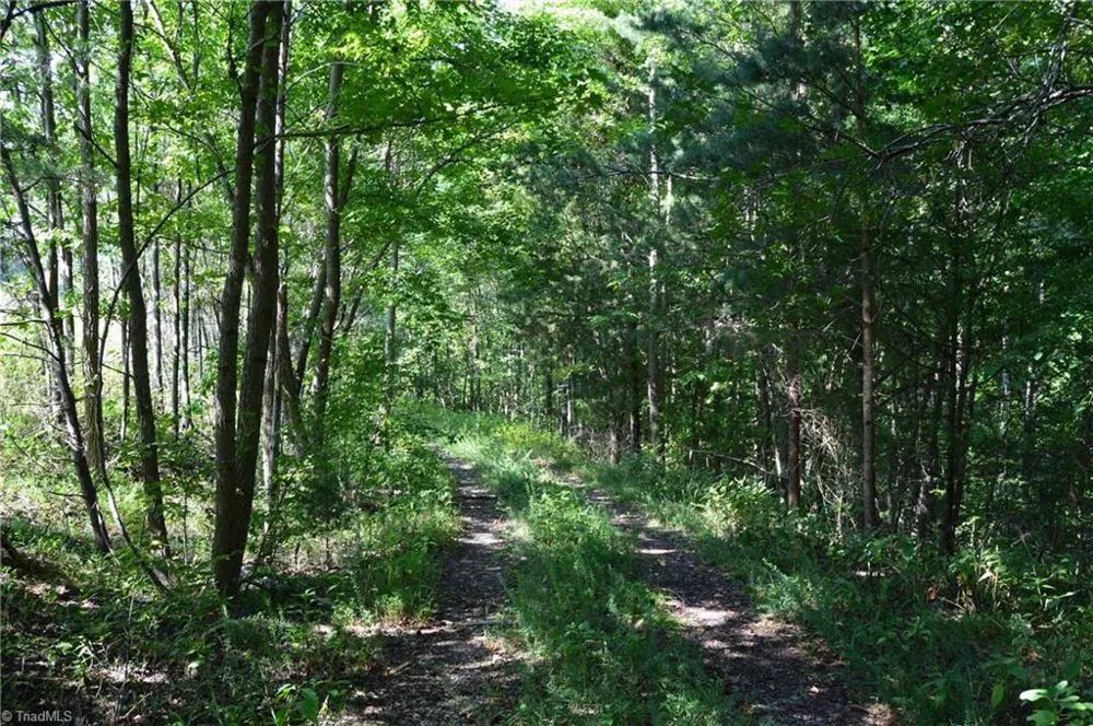 338-278 Hancock Road Reidsville, NC 27320