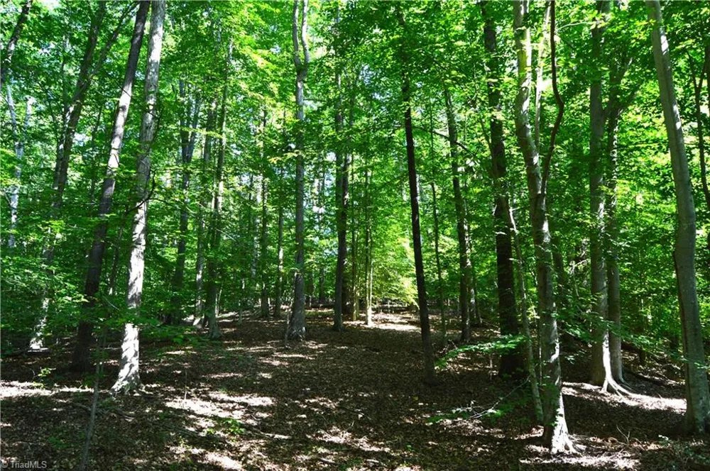 338-278 Hancock Road Reidsville, NC 27320