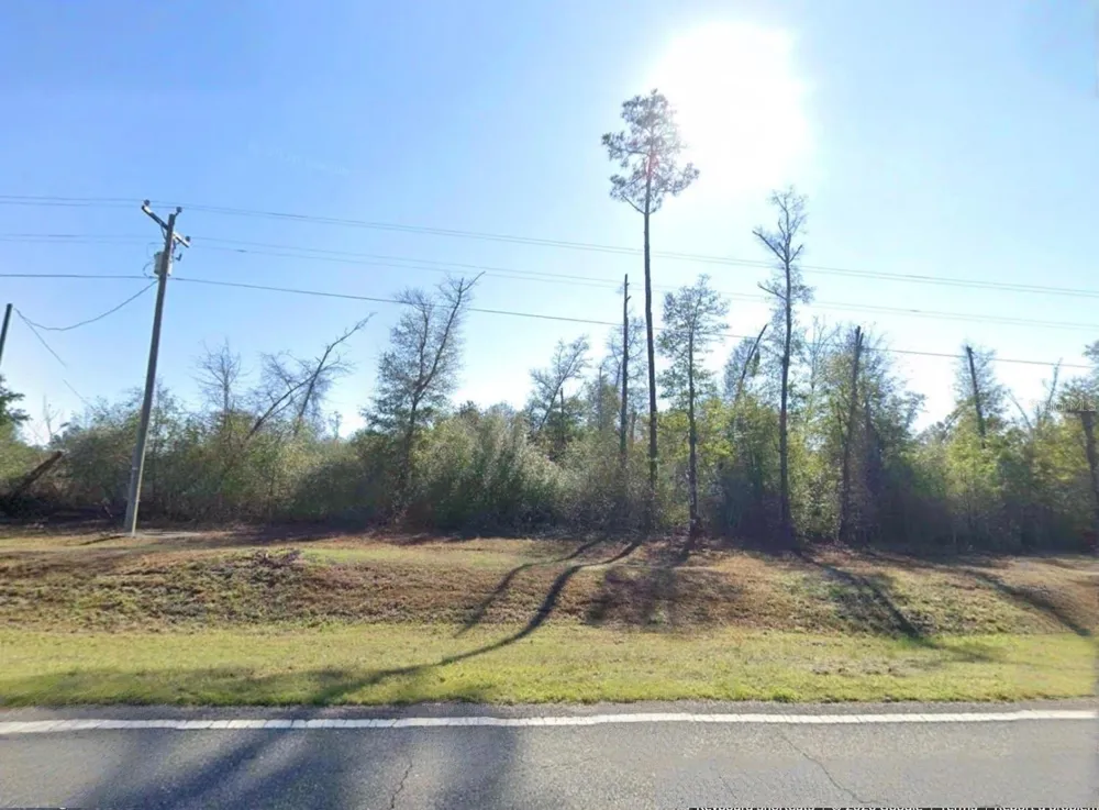 LAKEPOINT RD Alford, FL 32420