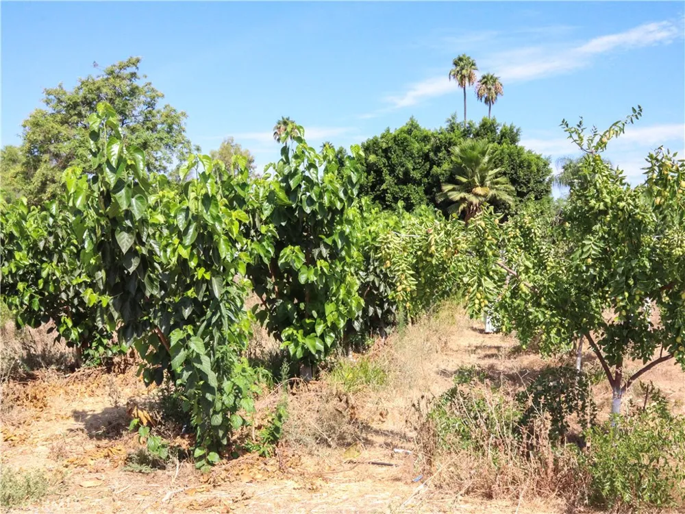 2523 Jefferson Street Riverside, CA 92504