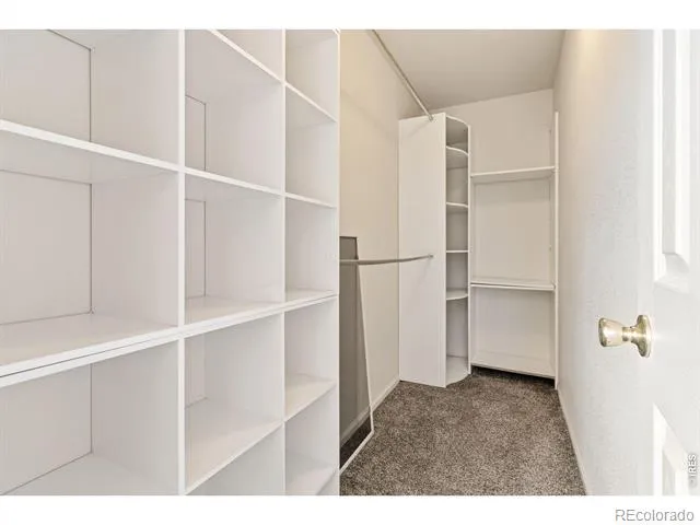 95 Pike Lane Severance, CO 80550