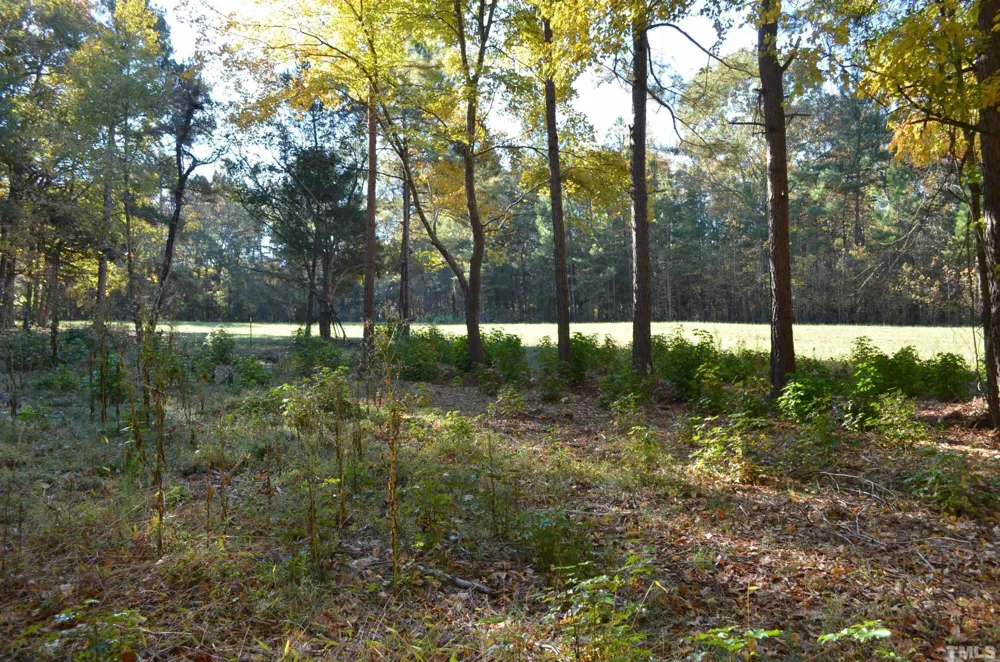 19121 Us-64 Siler City, NC 27344