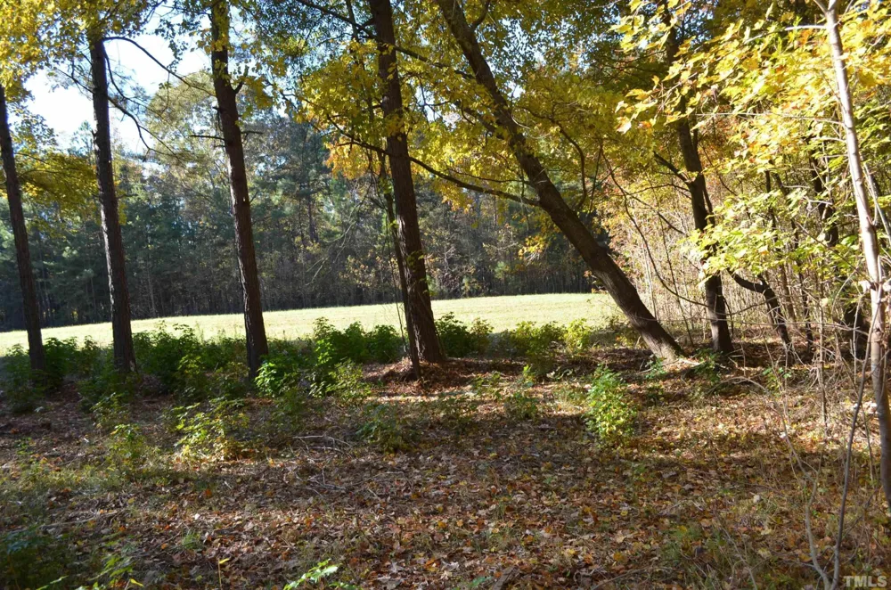 19121 Us-64 Siler City, NC 27344
