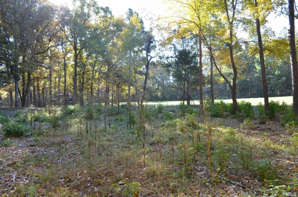 19121 Us-64 Siler City, NC 27344