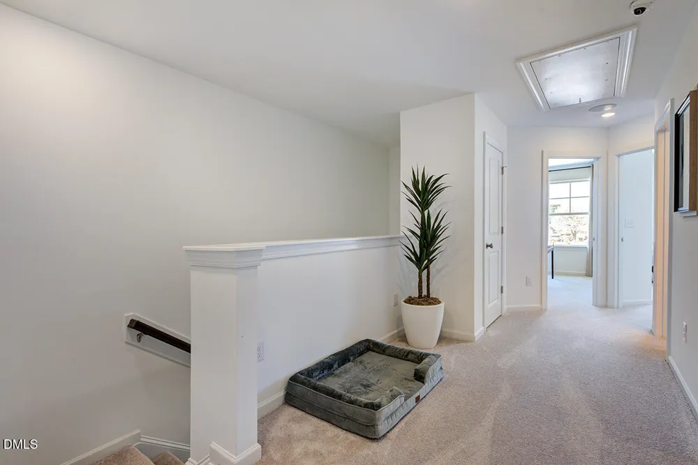 113 Sweetbay Tree Drive Wendell, NC 27591