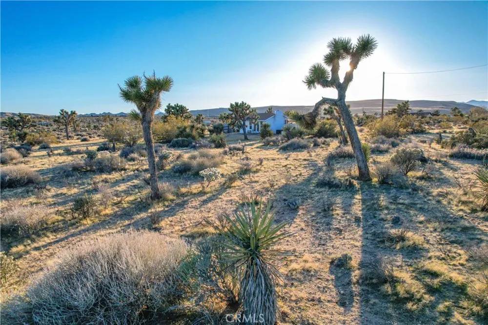3567 Condalia Avenue Yucca Valley, CA 92284
