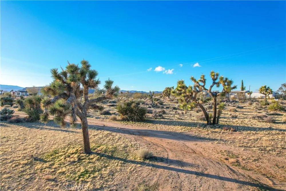 3567 Condalia Avenue Yucca Valley, CA 92284