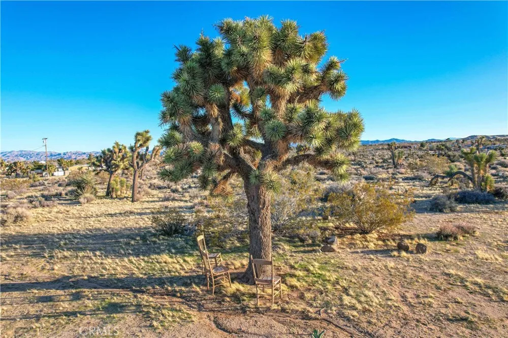 3567 Condalia Avenue Yucca Valley, CA 92284