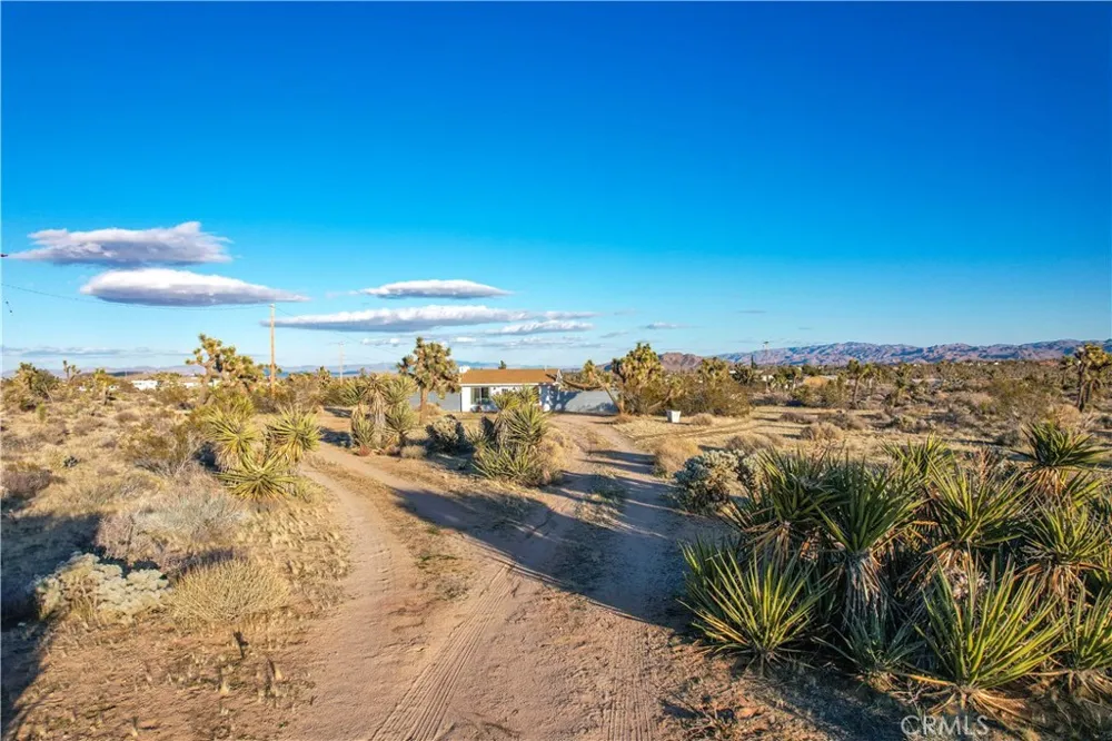 3567 Condalia Avenue Yucca Valley, CA 92284