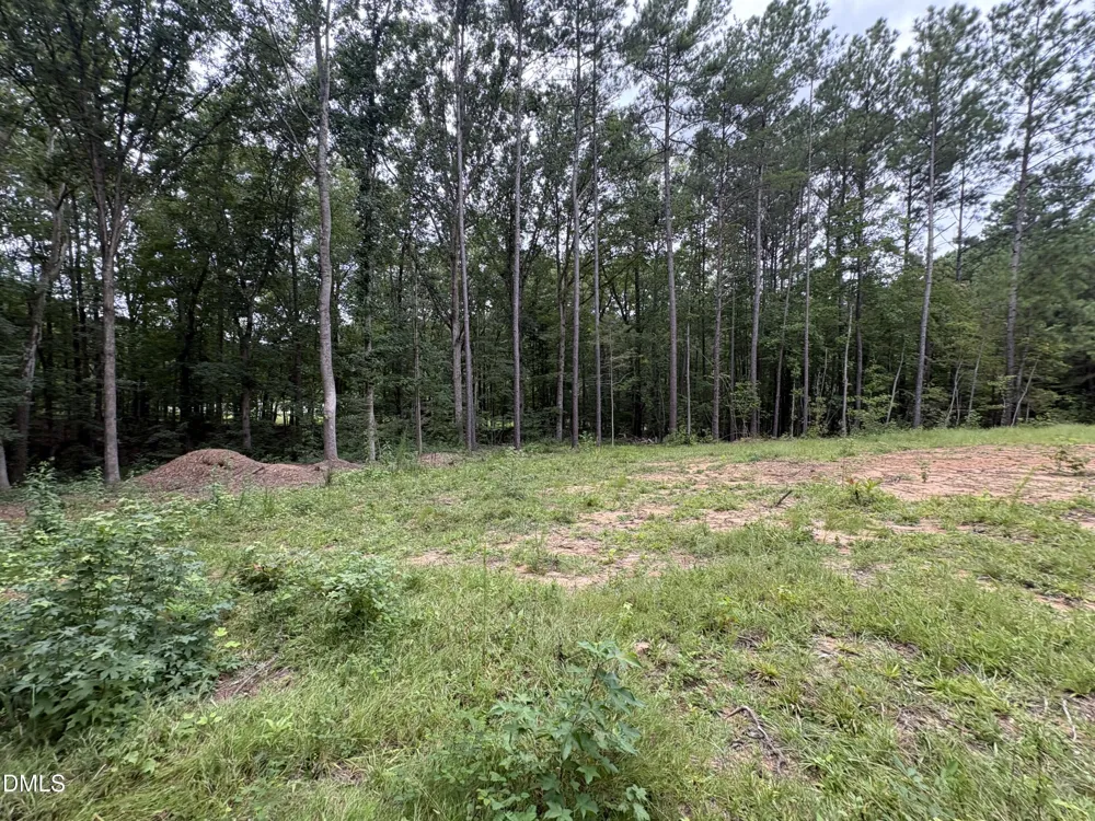 206 Rev Lewis Way Henderson, NC 27537