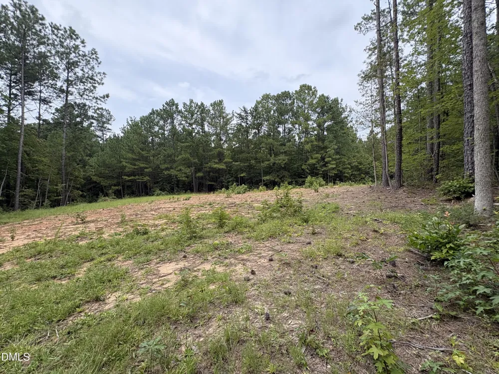 206 Rev Lewis Way Henderson, NC 27537