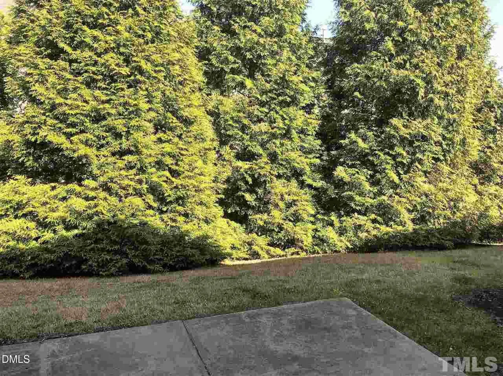 131 Anterbury Drive Apex, NC 27502