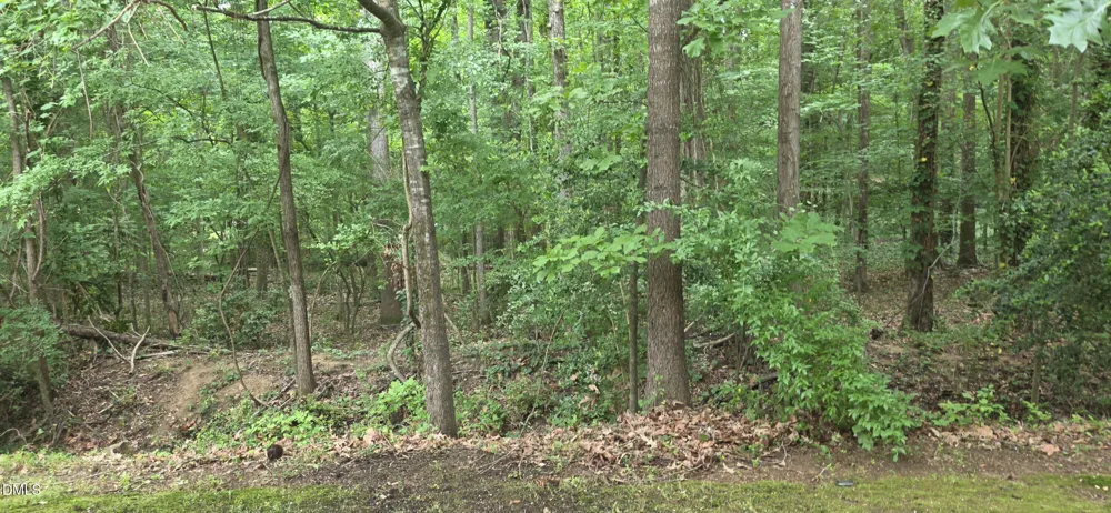 220 Elizabeth Street #Apt A18 Chapel Hill, NC 27514